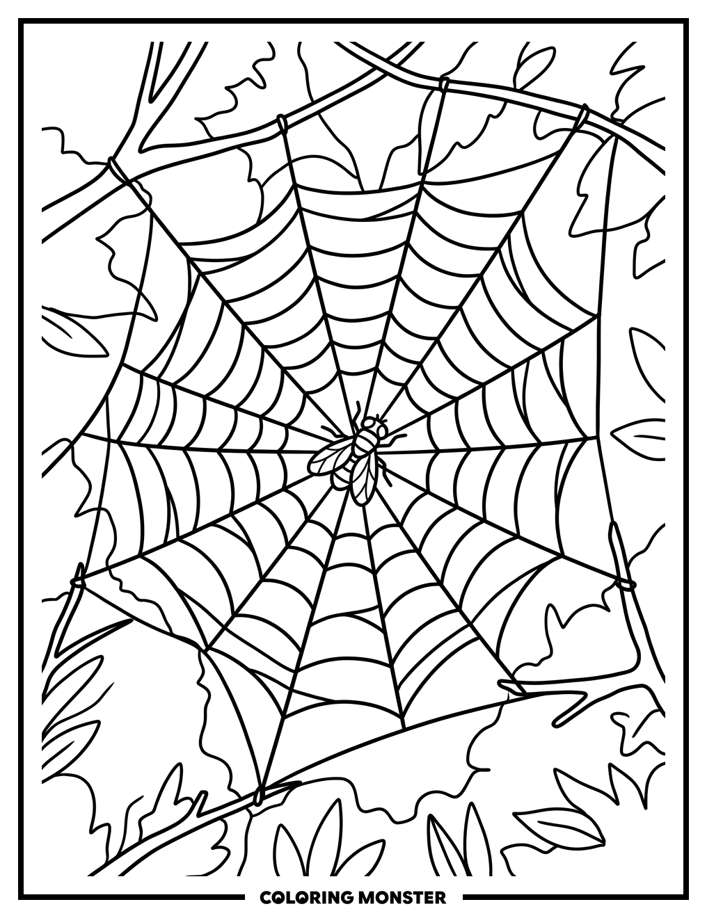 Spider Web With Fly Coloring Page