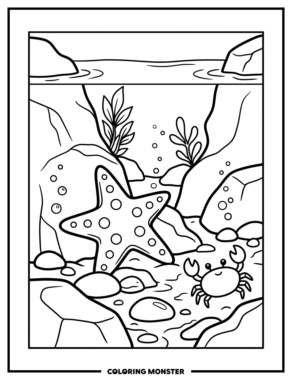 Starfish in a Tide Pool Coloring Page