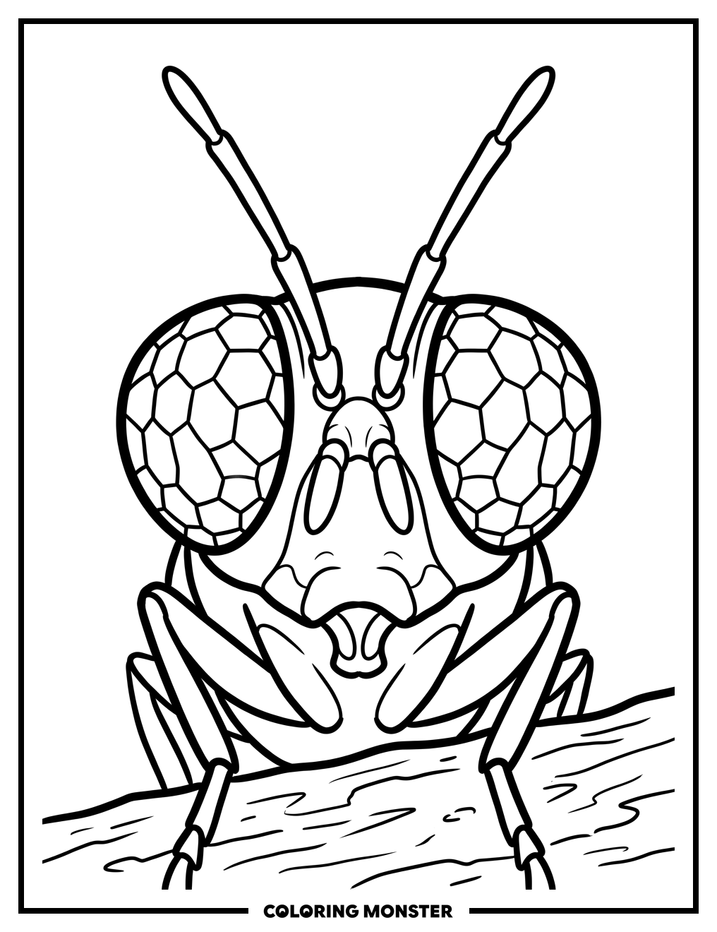 Stinger Fly Head Close-Up Coloring Page