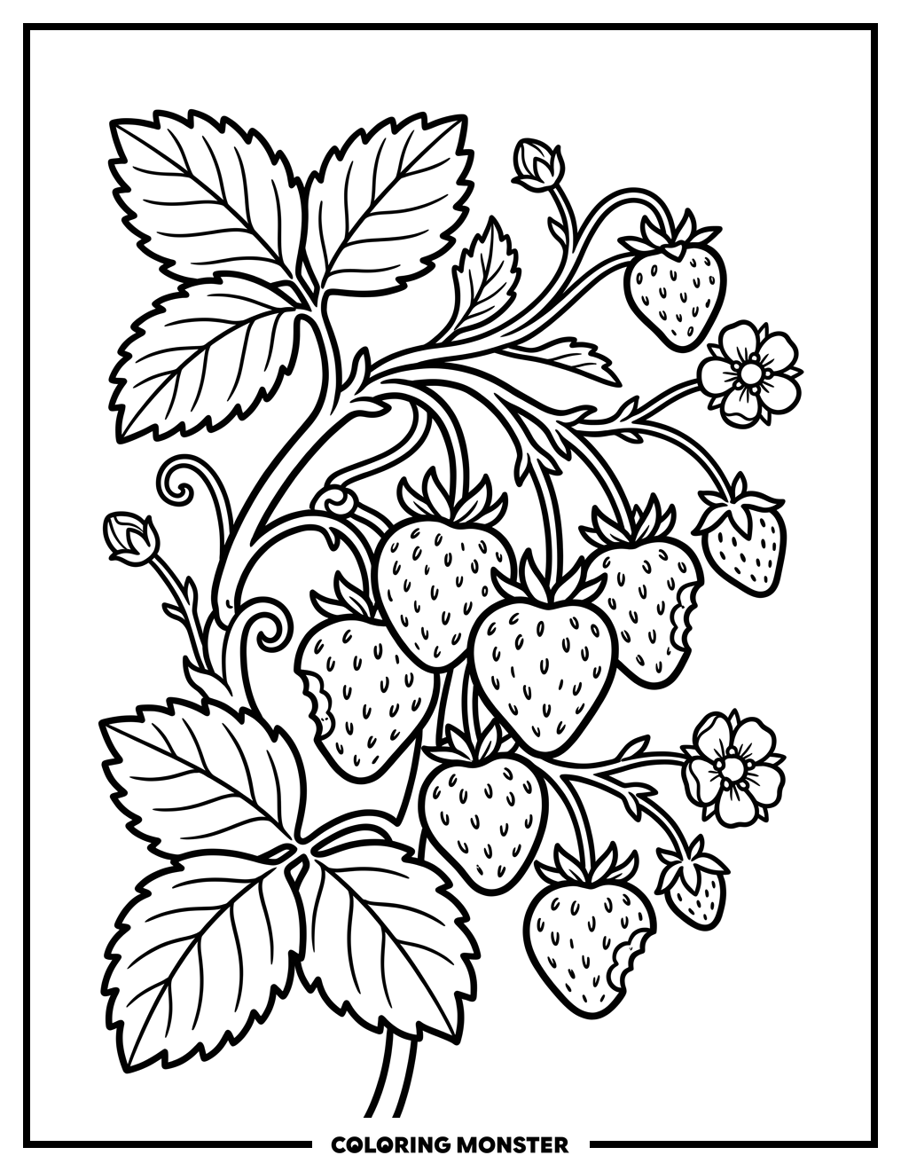 Strawberries On The Vine Coloring Page