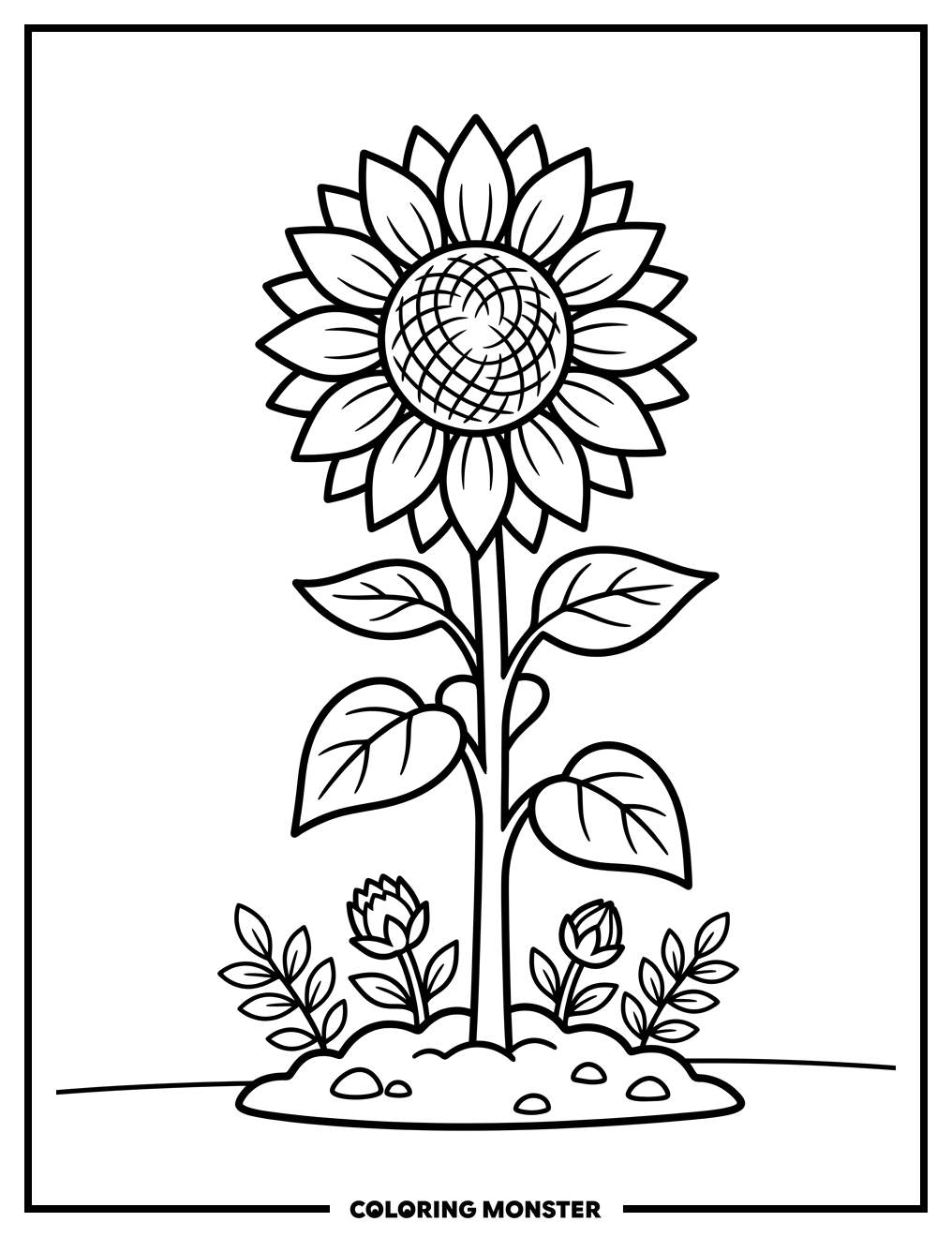 Sunflower in a Garden Coloring Page