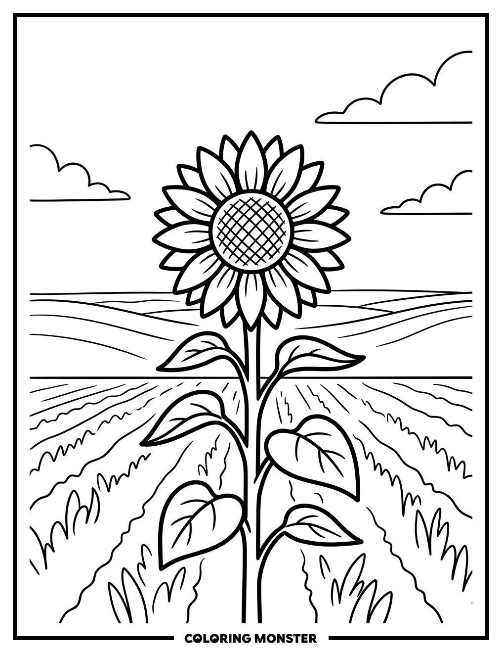 Sunflower in Kansas Field Coloring Page