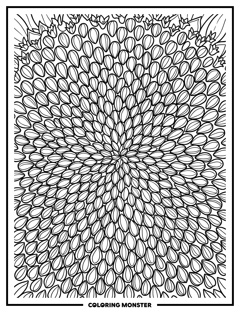 Sunflower Seed Pattern Close Up Coloring Page