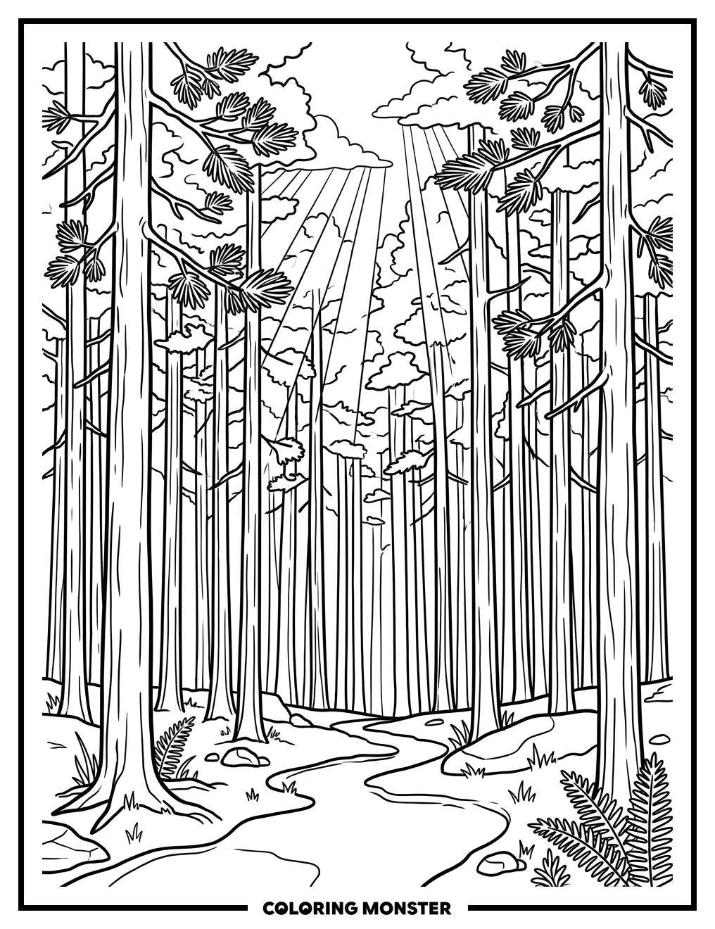 Sunlight Filtering Through Pine Trees Coloring Page