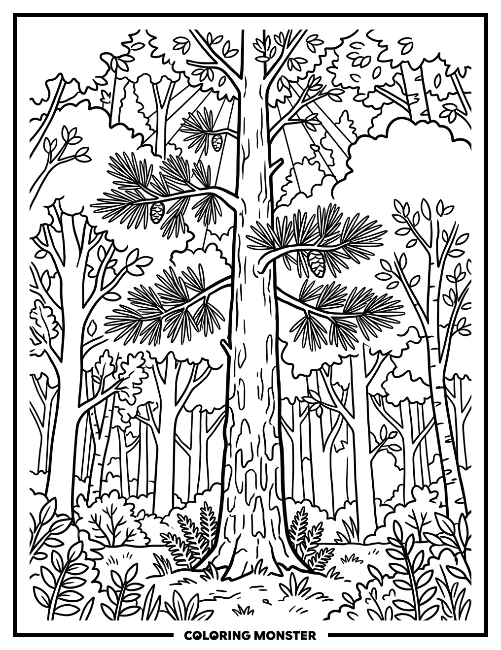 Tall Pine Tree in Forest Coloring Page