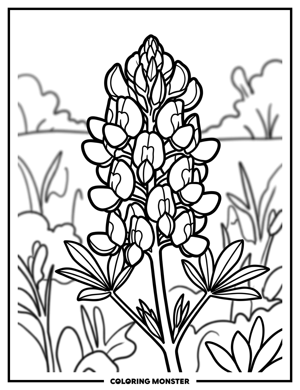 Texas Bluebonnet Flower Close-Up Coloring Page
