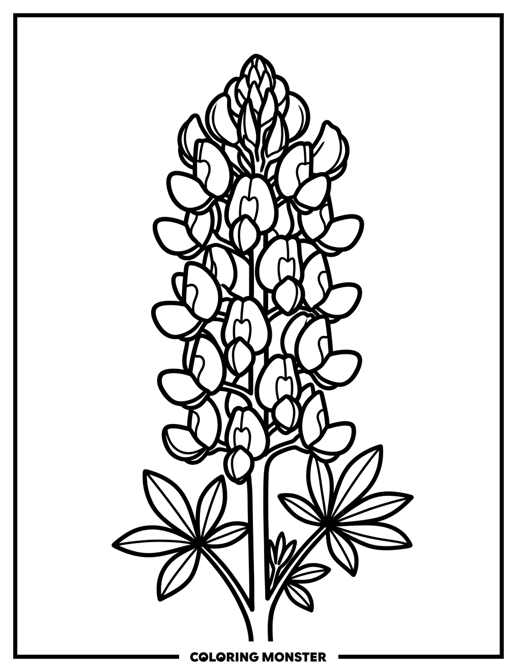 Texas Bluebonnet Flower Close-Up Coloring Page