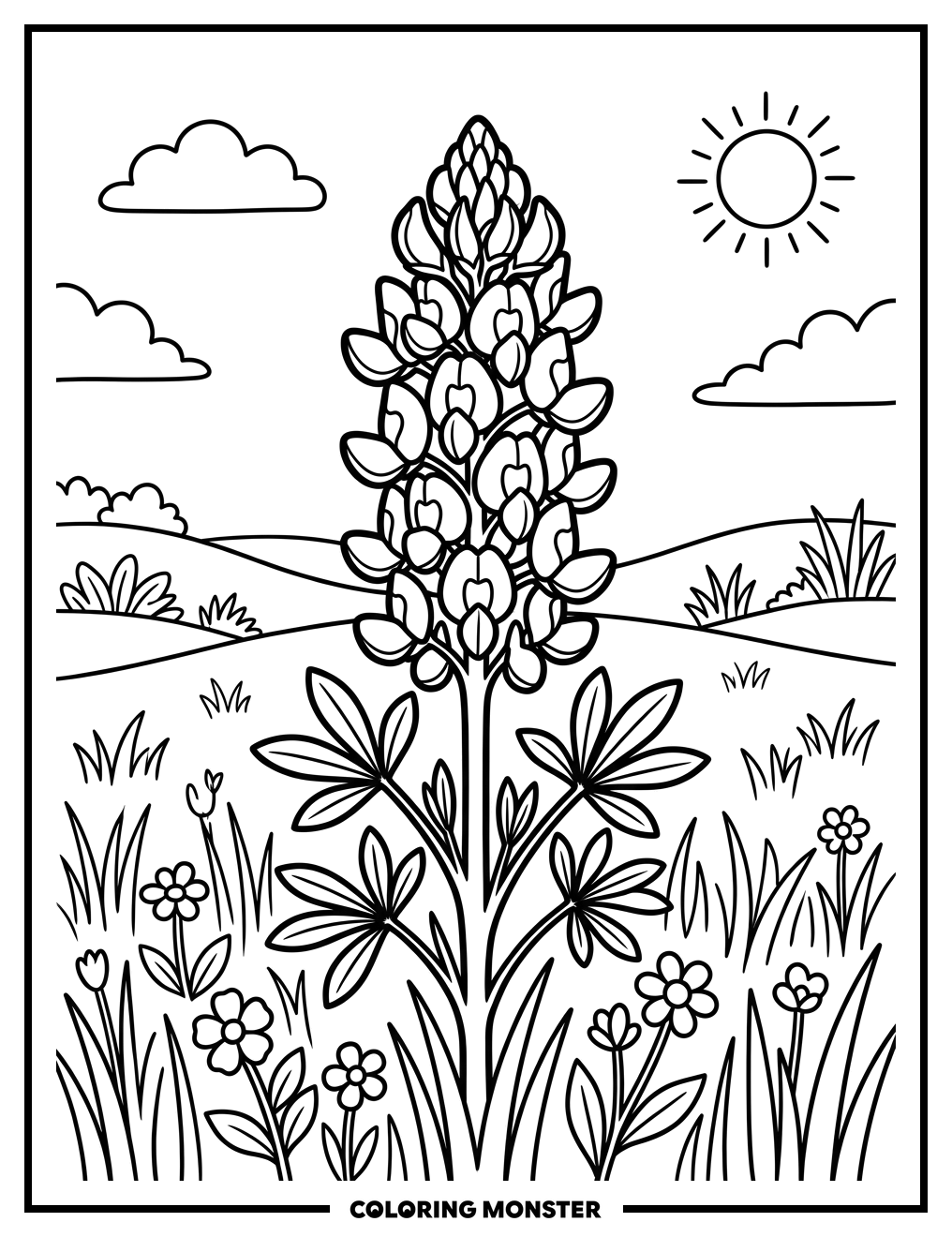 Texas Bluebonnet in Sunny Meadow Coloring Page