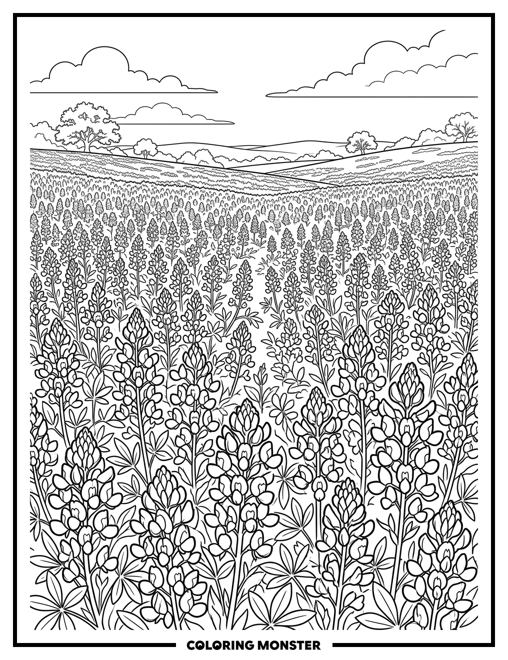 Texas Bluebonnets in Full Bloom Coloring Page