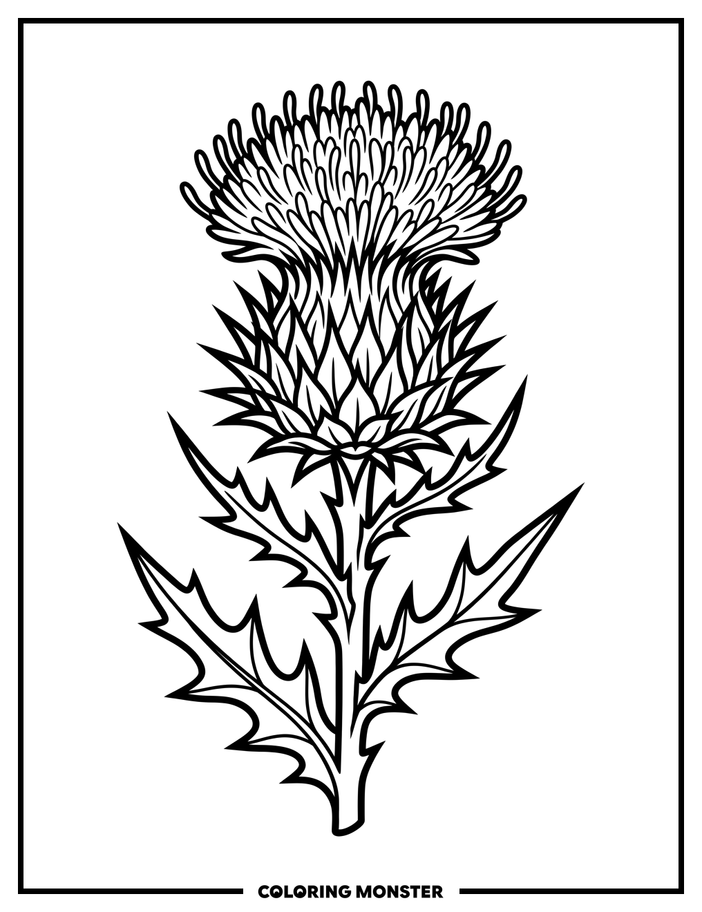 Thistle Flower Head Coloring Page