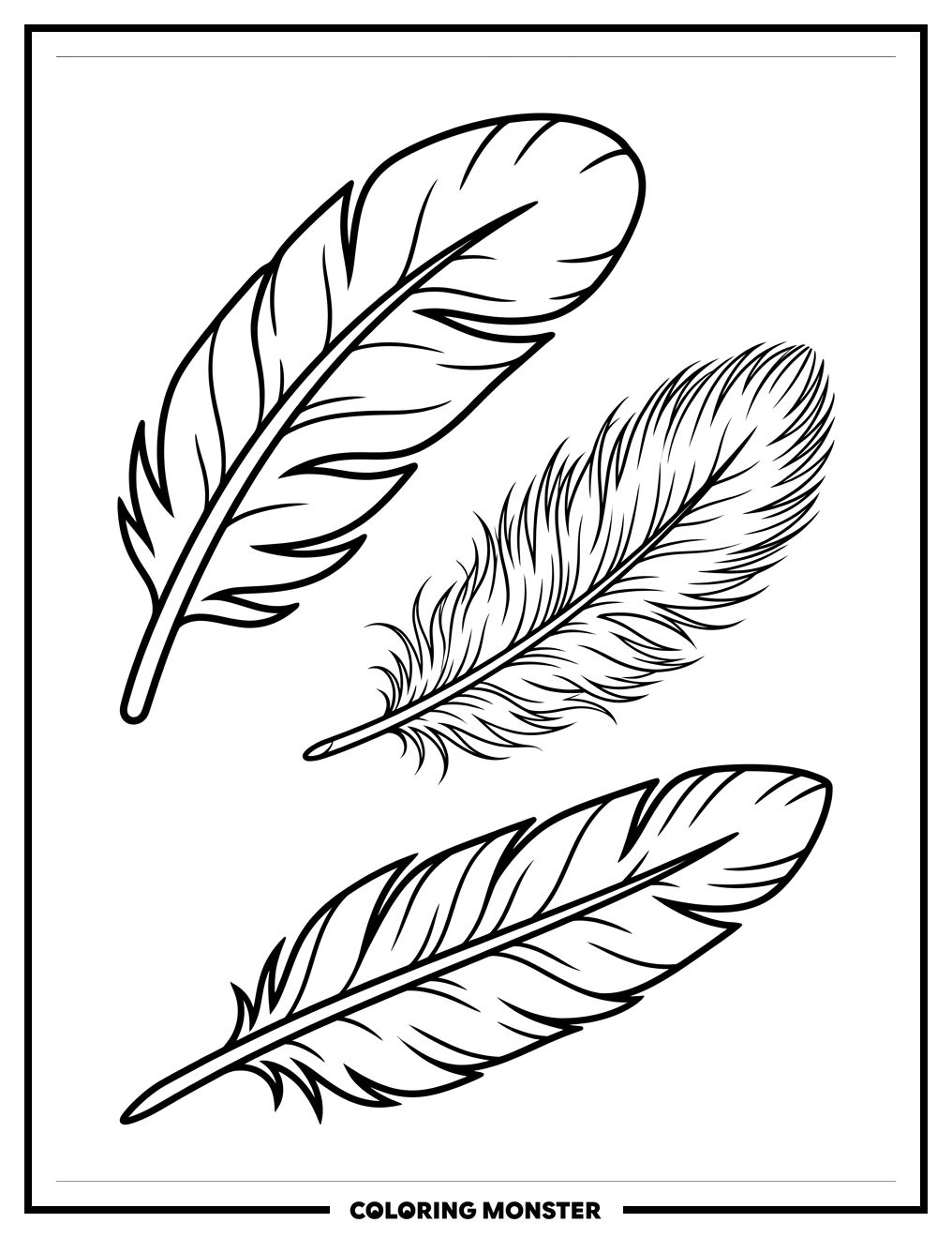 Three Different Feathers Coloring Page