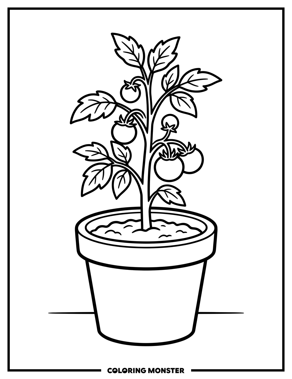 Tomato Plant In A Pot Coloring Page