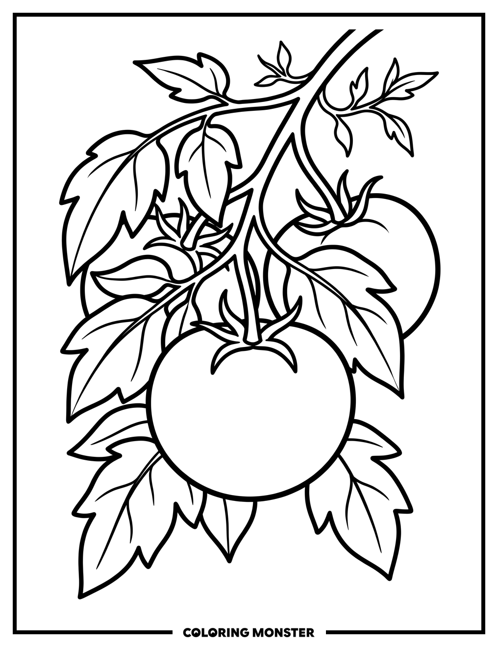 Tomatoes on the Vine Coloring Page