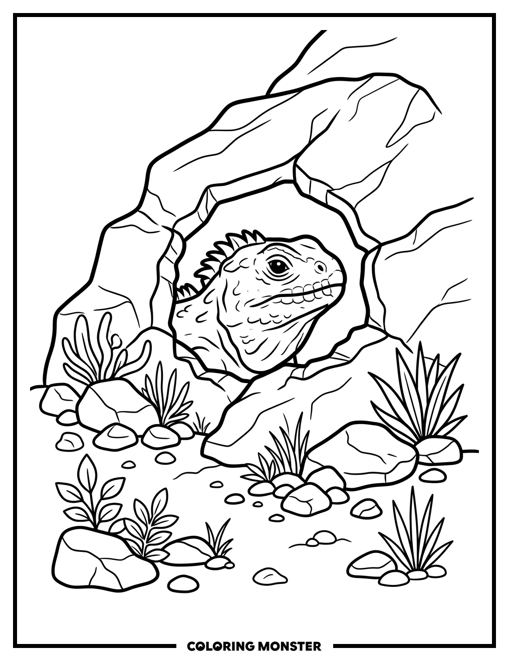 Tuatara Peeking From Burrow Coloring Page