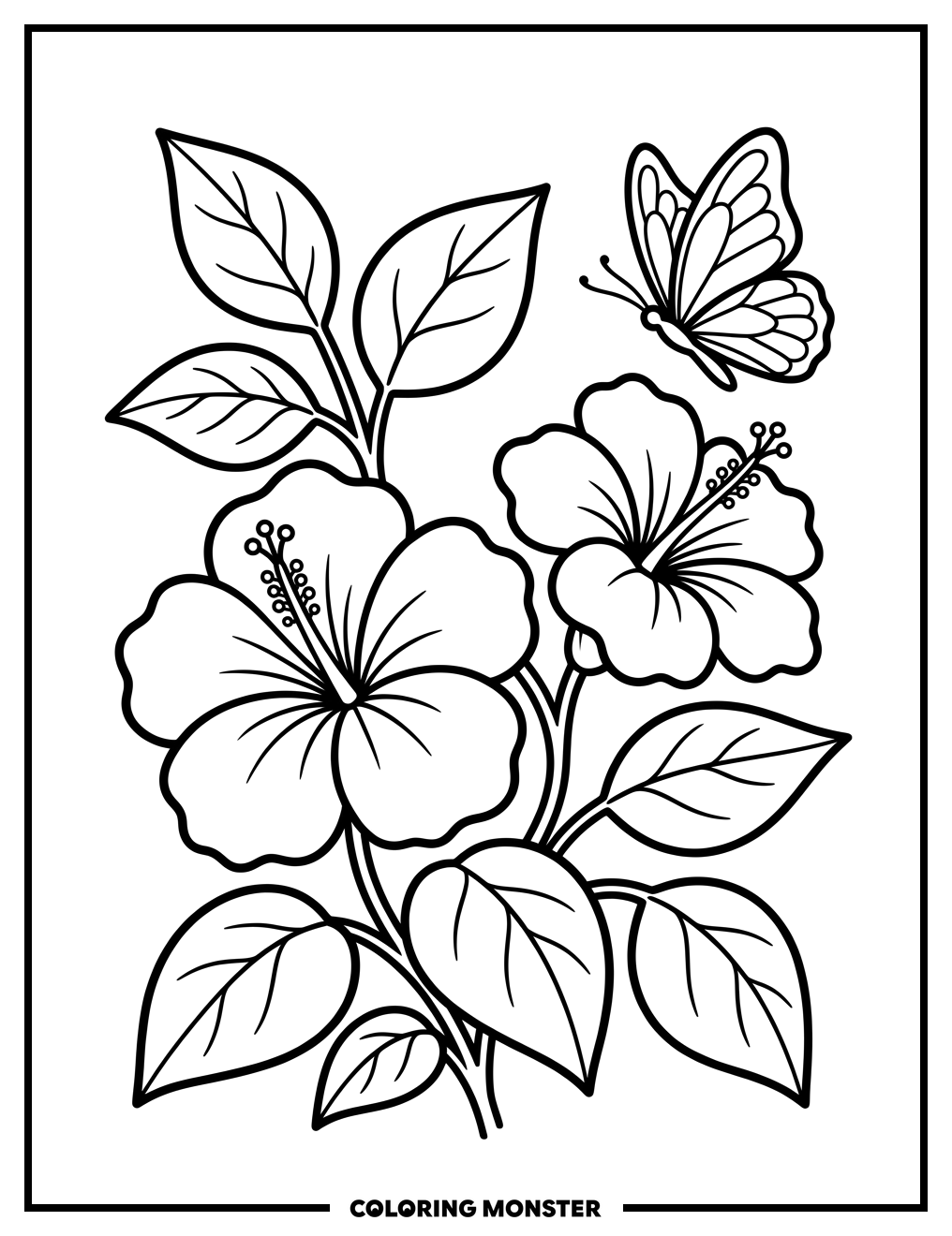Two Hibiscus Flowers and Butterfly Coloring Page