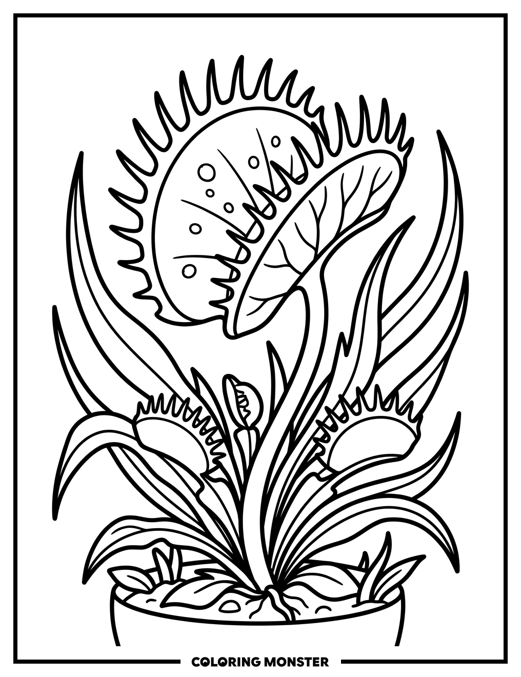 Venus Flytrap with Open Trap Coloring Page