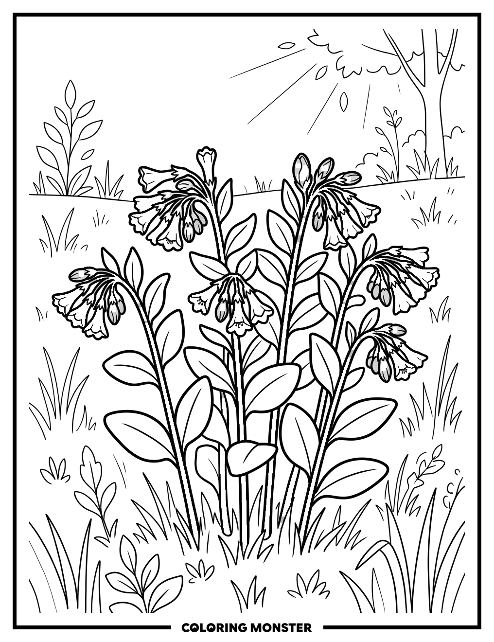 Virginia Bluebells Blooming Coloring Page