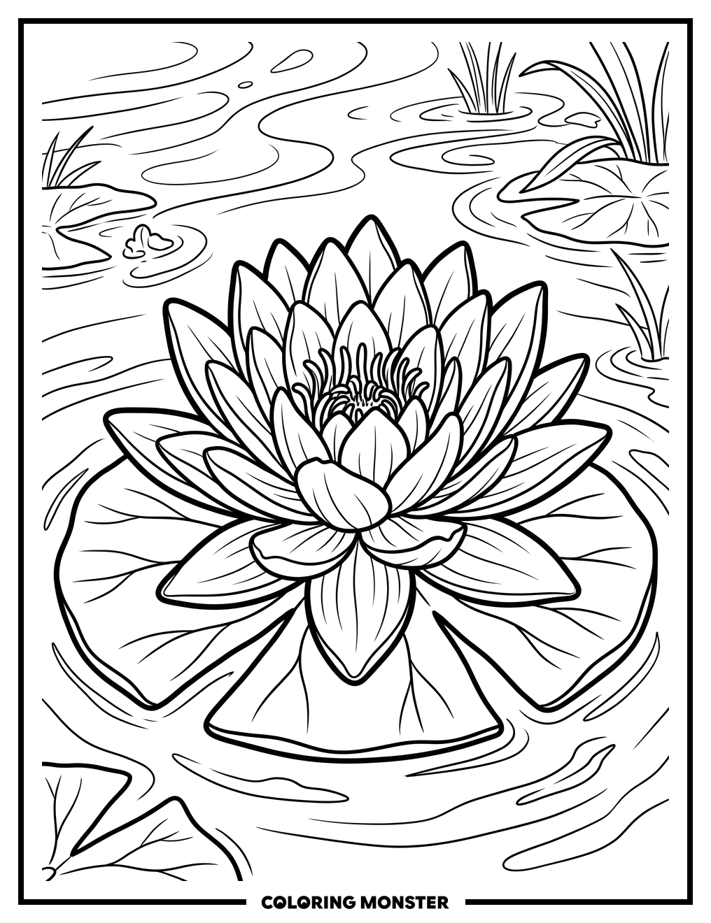 Water Lily in Bloom Coloring Page