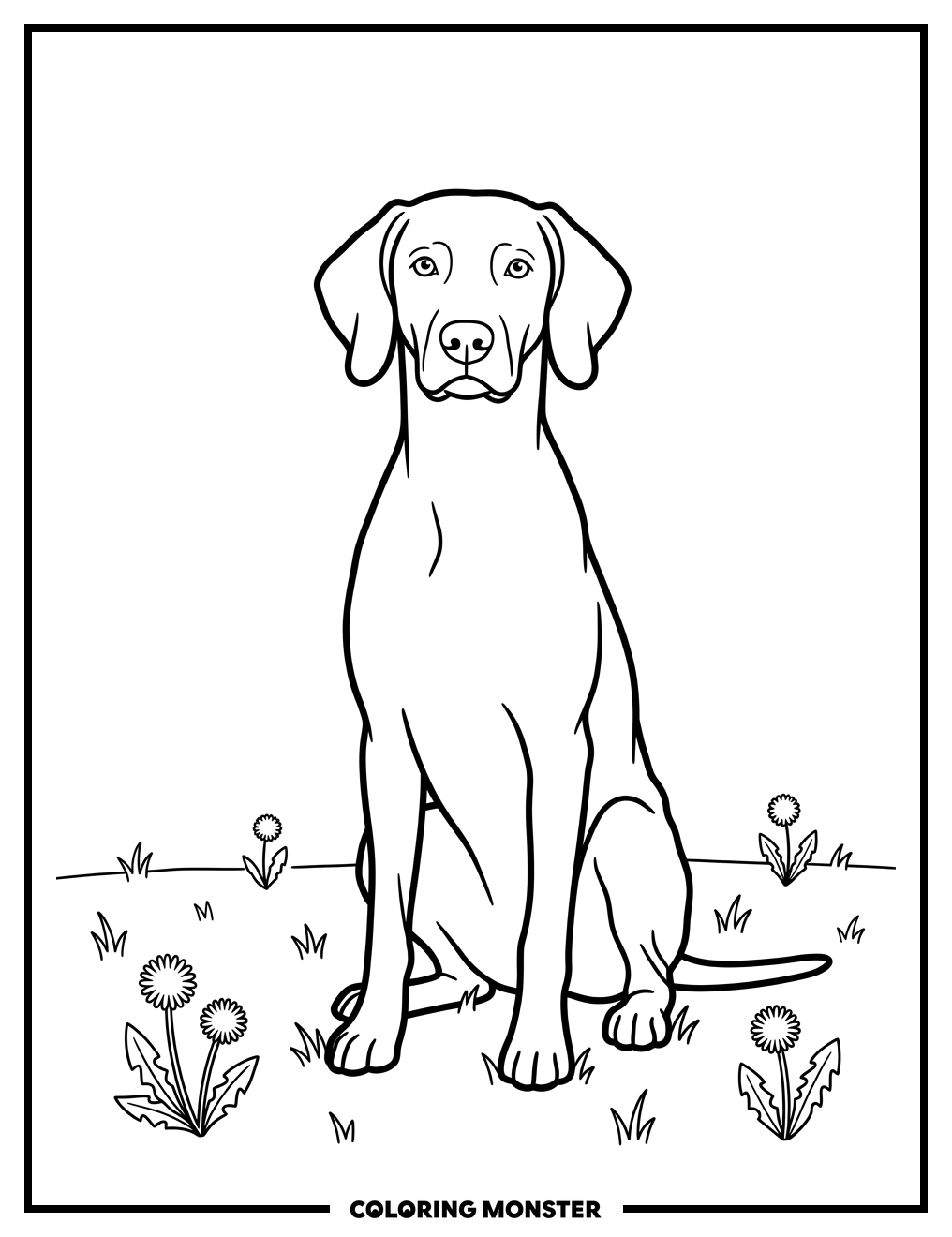 Weimaraner Dog in Grassy Field Coloring Page