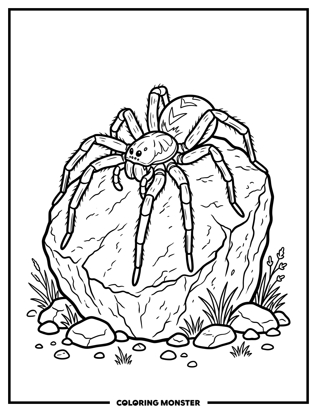 Wolf Spider on Textured Rock Coloring Page