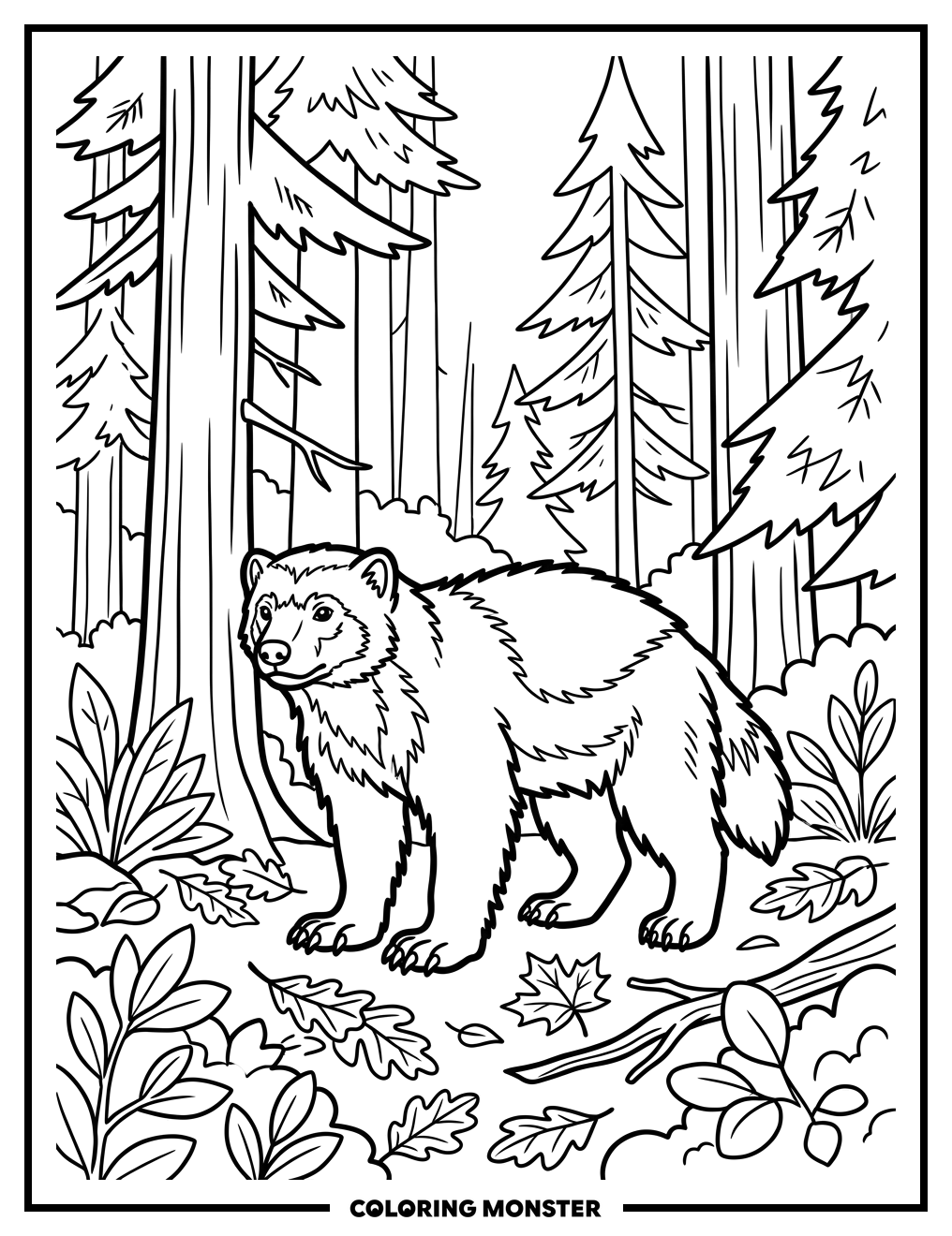 Wolverine in Pine Forest Coloring Page
