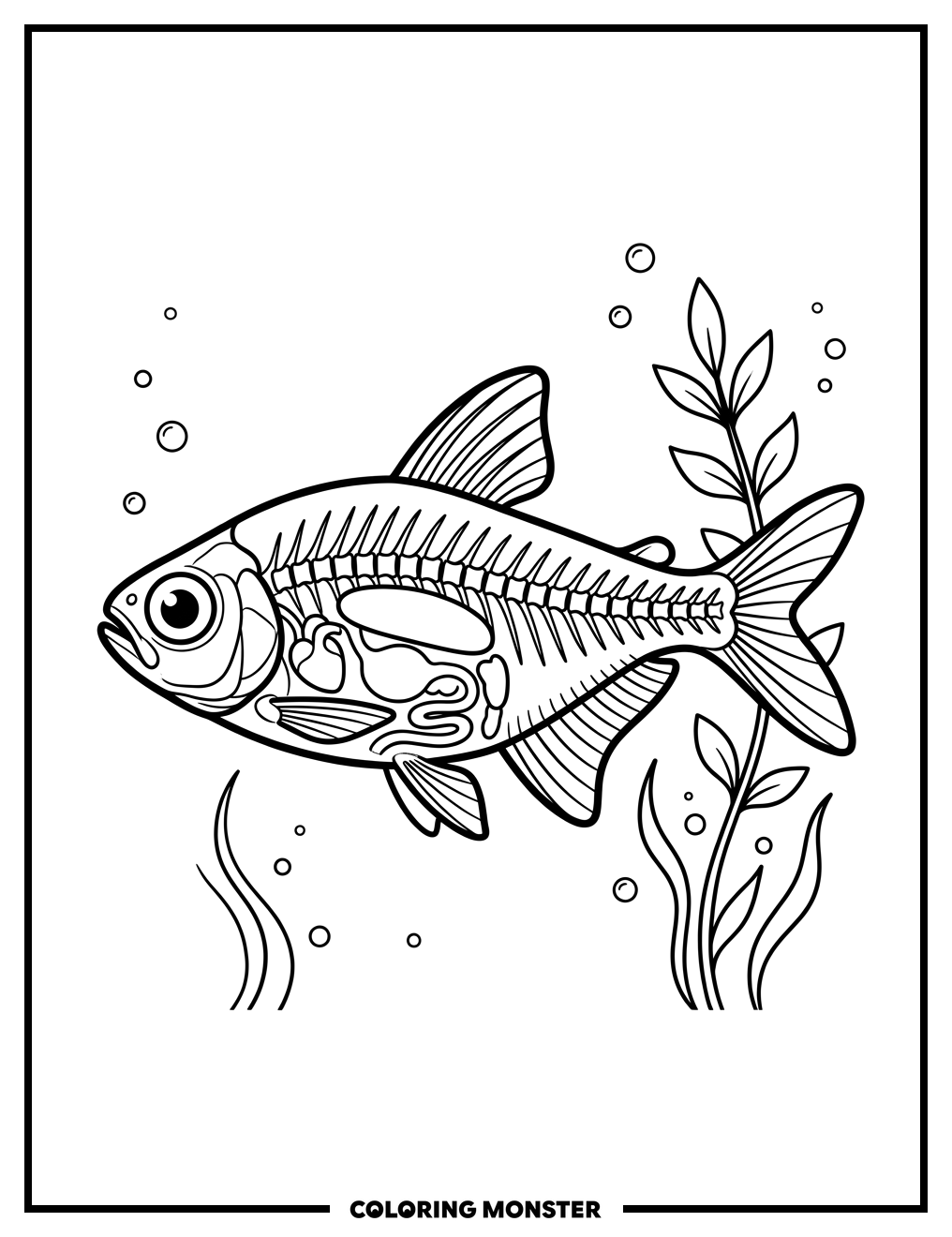 X-Ray Tetra Fish Coloring Page