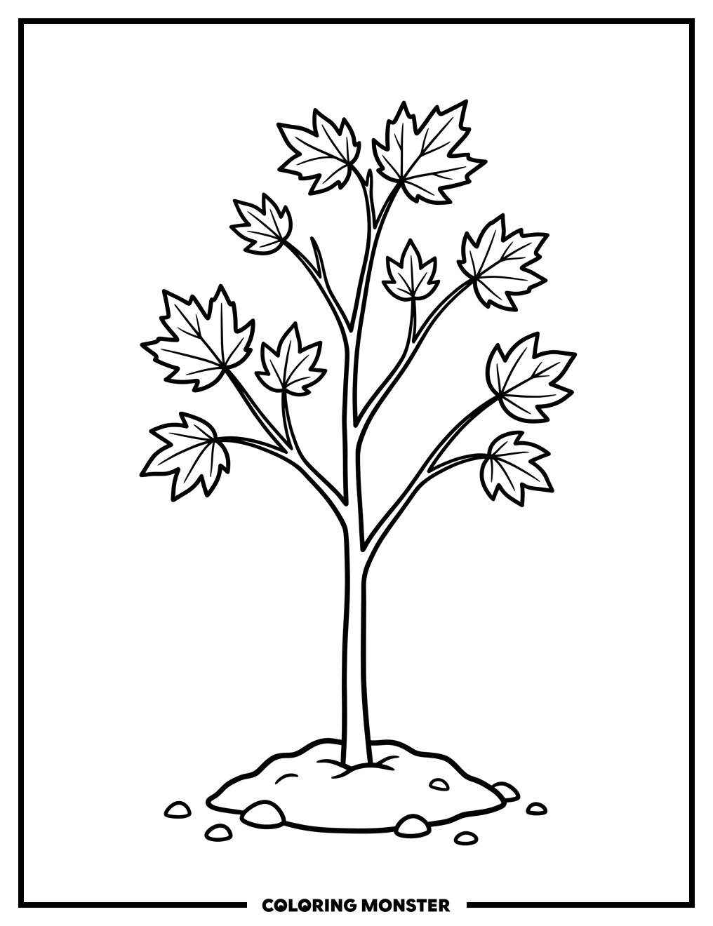 Young Maple Sapling Coloring Page